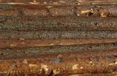 Hoe te doen houtbewerking met ruwe Pine Logs