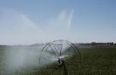Kleine Sprinkler irrigatie modellen voor schoolprojecten