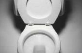 Hoe te repareren van een scheur van de Toilet porselein