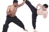 Karate & Wing Chun gelijkenissen