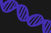 Hoe lees ik DNA Test Genealogie