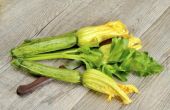 How to Hand-bestuiven courgette