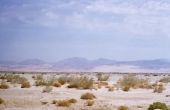 Wat Is een woestijn bioom?