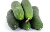 Hoe om te beginnen met komkommer zaden binnenshuis