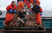 Hoe krijg ik een commerciële krab vissen baan in Alaska