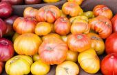 How to Grow Heirloom ananas tomaten