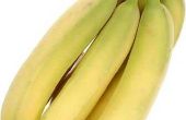 Hoe om te voorkomen dat bananen gaan zwart in de koelkast