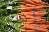 Hoe bewaart u wortelen in de koelkast