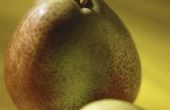 Hoe bewaart u peren in de koelkast