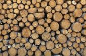 How to Sell pijnbomen voor hout