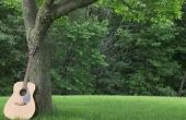 Verschillende soorten hout voor akoestische gitaren