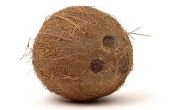 Het gebruik van kokosolie voor droog haar