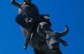 How to Raise Bucking stieren voor Rodeos