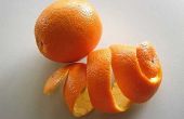 Hoe te recyclen van Citrus schillen