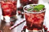 Cranberry drankjes gemaakt met Gin