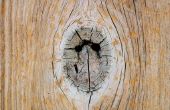 Het beste hout vuller voor exterieur gevelbekleding