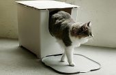 5 trucs van de genie voor het verbergen van uw kat strooisel vak