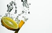 Gereconstitueerde citroensap om te doden van de vlooien