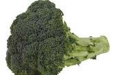 Wat Bugs worden gevonden in Broccoli?