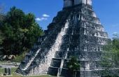 De rollen van mannen en vrouwen in de Maya stam
