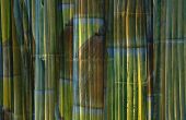Hoe te voorkomen dat schimmel op een buiten bamboe schutting