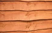Trekt Cedar hout hekwerk insecten & Bugs?