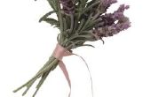 How to Make Rosemary lavendel zeep