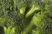 How to Kill Broccoli geur