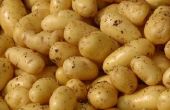 Verschil tussen aardappelzetmeel & aardappel bloem