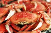 De beste methode voor het opwarmen van krabben