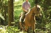 Wat laarzen zijn beste voor Trail Riding paarden?