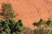 Treinreizen van Perth naar Uluru