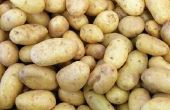 Hoe om te grillen van Fingerling aardappel