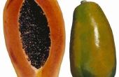Hoe maak je een Papaya ananas Enzyme Mask