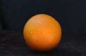 Delen van de oranje Fruit
