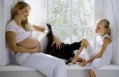 Kan een zwangere vrouw haar katten huisdier?