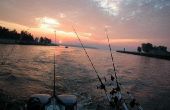 Hoe te vissen op zalm in Lake Michigan