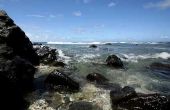 De beste Hawaïaanse eilanden op bezoek