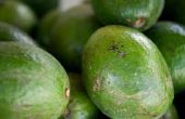 Hoe om te voorkomen dat avocado's snel rijpen
