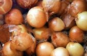 Hoe kan ik een sterke Onion smaak in mijn maaltijd temmen?