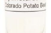 Wat zijn de aardappel Bugs?