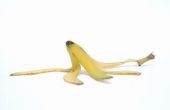 Hoe te drogen banaan schillen voor kunstmest