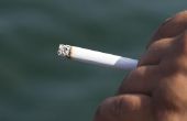 Hoe te Abstract Nicotine van tabak