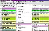 Hoe schrijf je een Reset Macro voor Excel