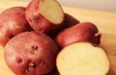 How to Make gekruide gebakken rode aardappelen