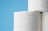Hoe te vouwen van een Toilet Paper Origami Triple punt