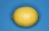 Hoe maak je een citroen-batterij