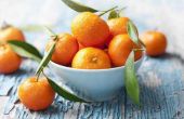 Hoe bewaart u citrusvruchten
