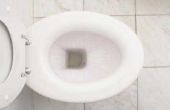 Hoe te ontbinden toiletpapier in het Toilet afvoer verstopt