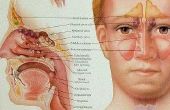 Sinus infectie & oog pijn